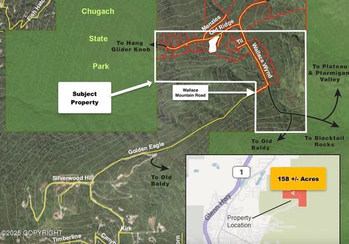 NHN Wallace Mountain Rd, Eagle River, AK, 99577 | Card Image