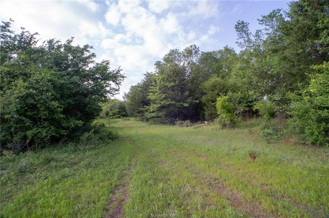 View of yard | Image 12