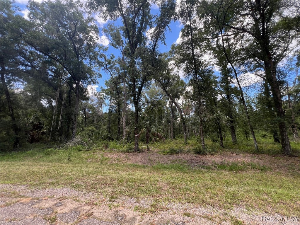 Land in Dunnellon 2