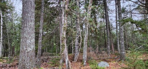 52 Harls Camp Road, Jonesboro, ME, 04634 | Card Image