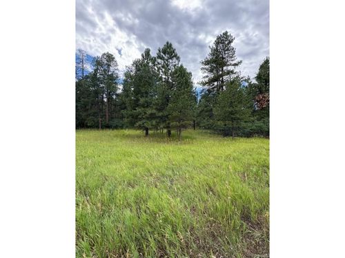 5028 Crow Dr, Larkspur, CO, 80118 | Card Image