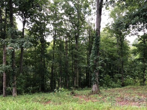 43-45 Sweet Fern Pkwy, Asheville, NC, 28804-0092 | Card Image