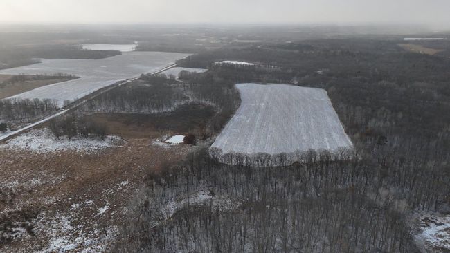 DJI_20241211150041_0385_D.JPG | Image 21