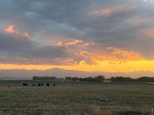 a-0 County Road 35, Platteville, CO, 80651 | Card Image