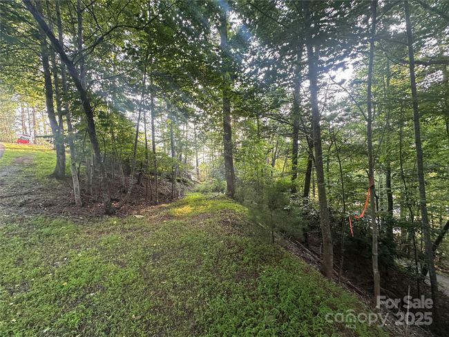 385 Dockside Dr, Home with 0 bedrooms, 0 bathrooms and null parking in Nebo NC | Image 15