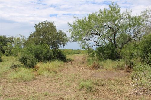 00 Lot 2 Vista Fina Drive, Sandia, TX, 78383 | Card Image