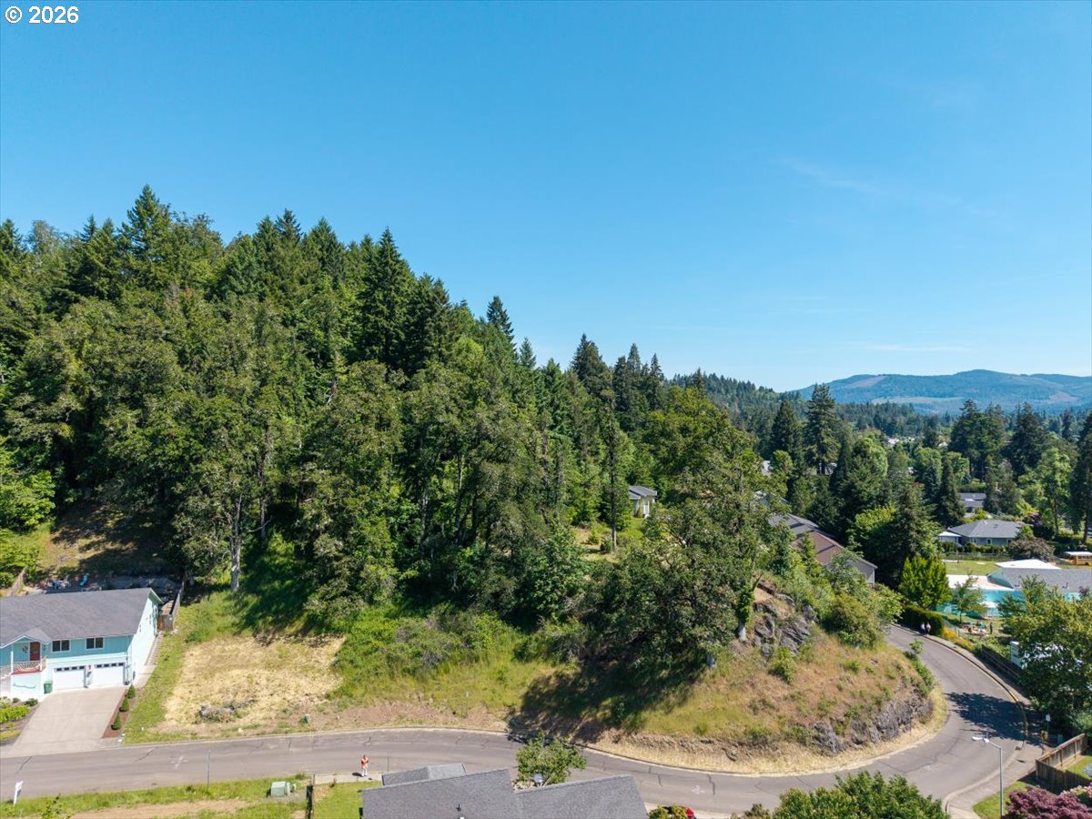 Land in CottageGrove 4