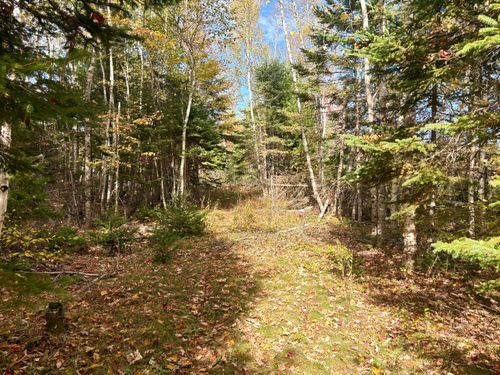 Lot 22 Off South Meadow & Roys Way Road, Perry, ME, 04667 | Card Image