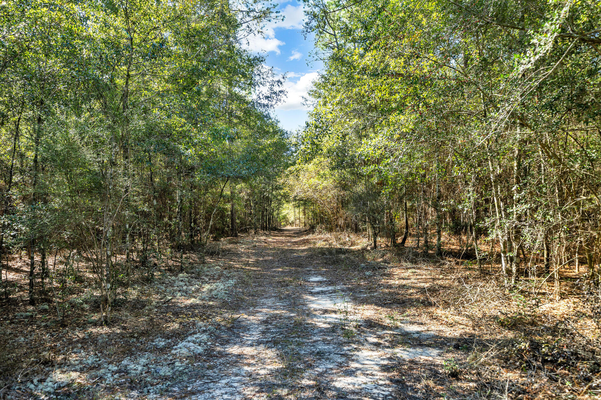 Us Highway 331 , Defuniak Springs, FL 32433
