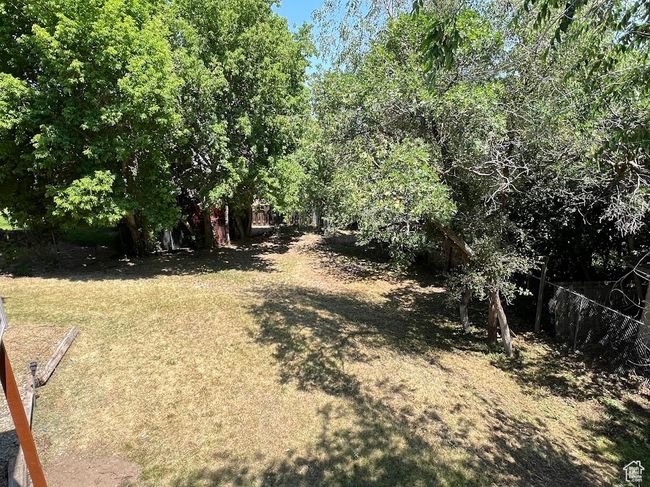 View of yard | Image 27
