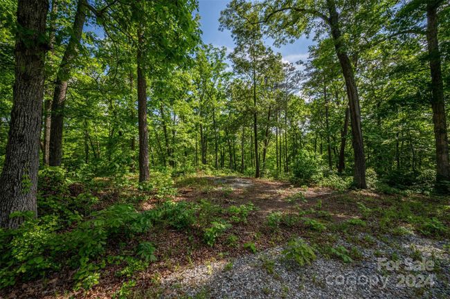 0 Walkaloosa Way, Home with 0 bedrooms, 0 bathrooms and null parking in Mooresboro NC | Image 20