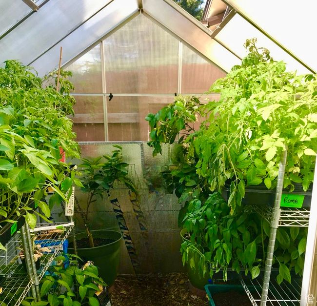 greenhouse | Image 18