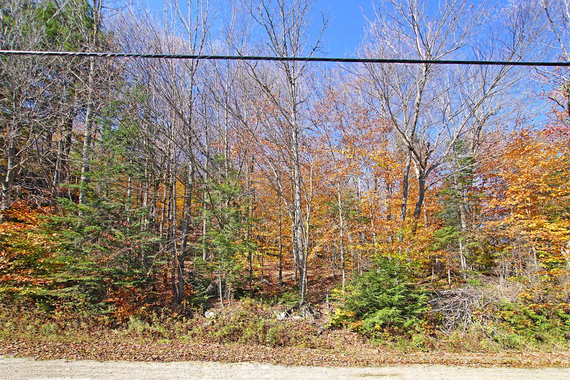 Land in Wentworth