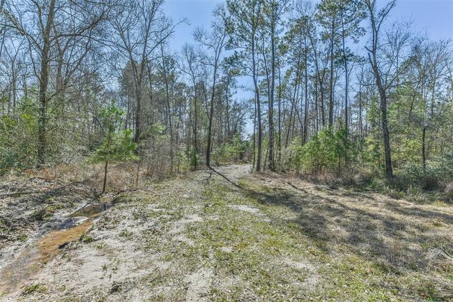 35 Old Sign Rd, Home with 1 bedrooms, 1 bathrooms and null parking in Midway TX | Image 32