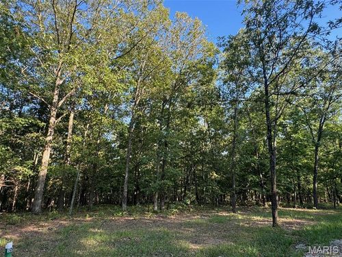 150 Steeple Point Dr. Lot #10 Drive, Defiance, MO, 63341 | Card Image