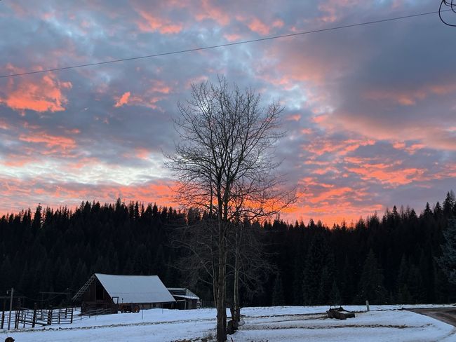 1876 Timber Creek Rd, House other with 8 bedrooms, 6 bathrooms and null parking in Haugan MT | Image 68