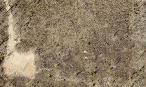 Tract 8B Rigsby Loop, Lonsdale, AR, 72087 | Card Image