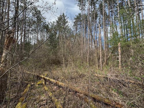 000 Sportsman Dr, MUSCODA, WI, 53573 | Card Image