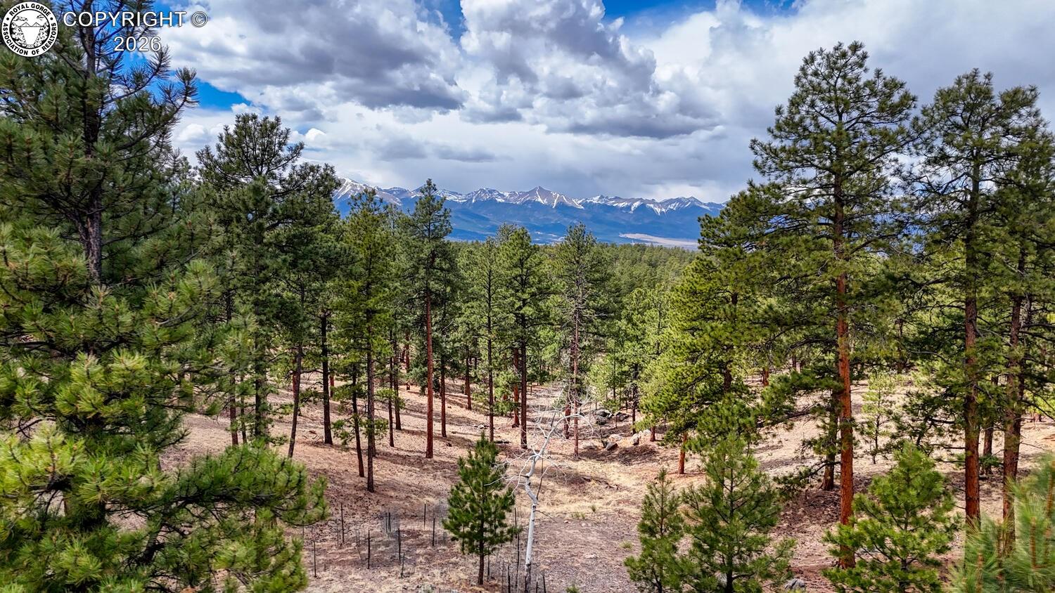 Residential in Westcliffe 5