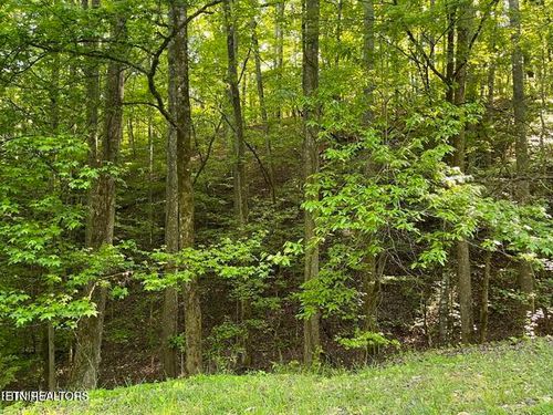 342-336-342 Omega Dr, Spring City, TN, 37381 | Card Image