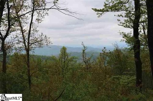 122 Panther Mountain Road, Zirconia, NC, 28790 | Card Image