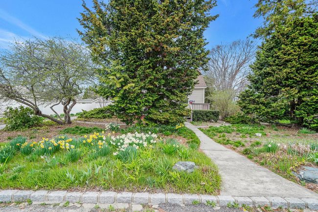 View of yard | Image 12
