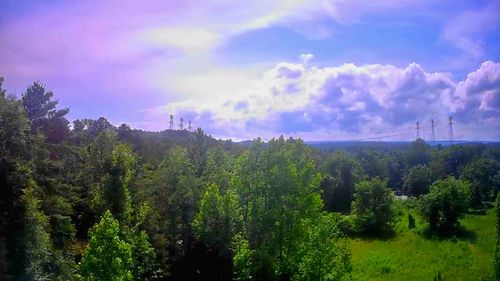 6227 River Rd, Decatur, TN, 37322-3018 | Card Image