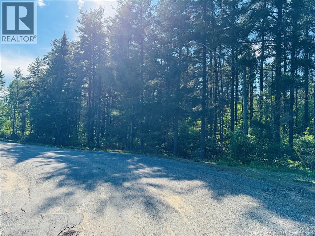 Land in Miramichi 4