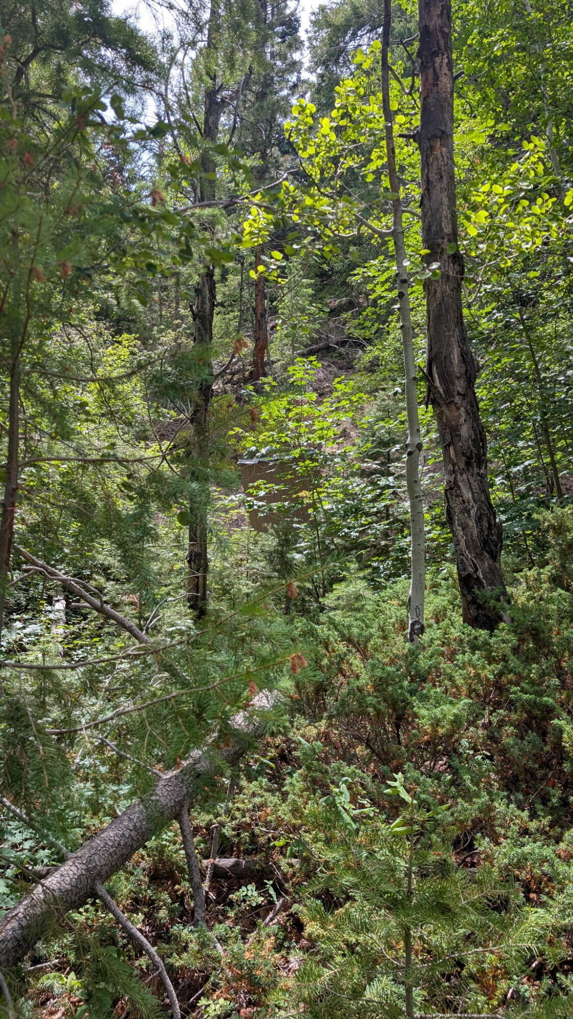 Land in Duck Creek 3