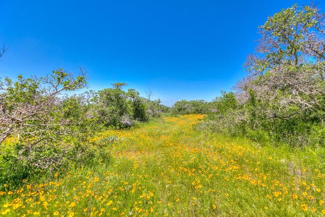 Beautiful Property w/Spring Wildflowers | Image 47