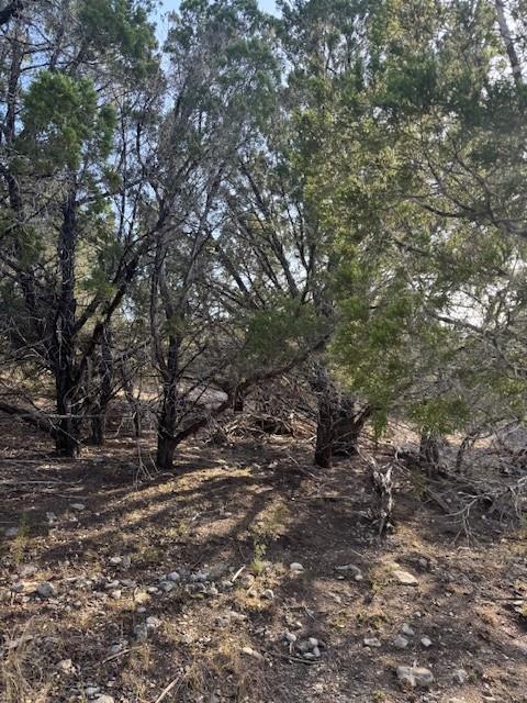 Land in Leander 3