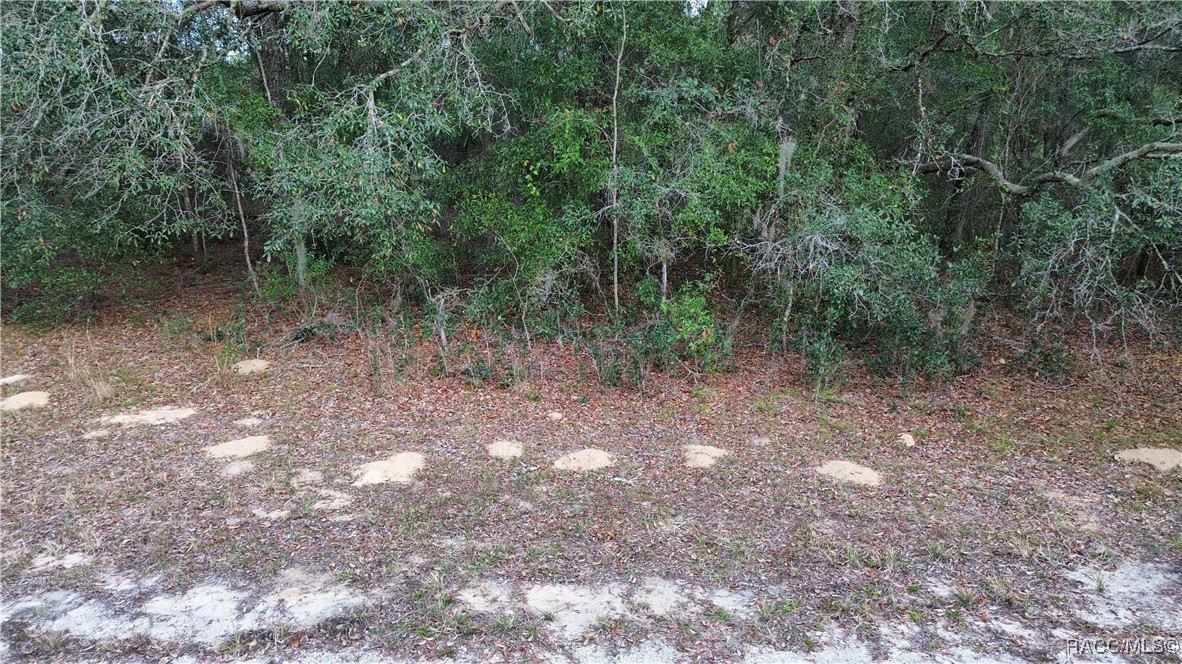 Land in Citrus Springs 4