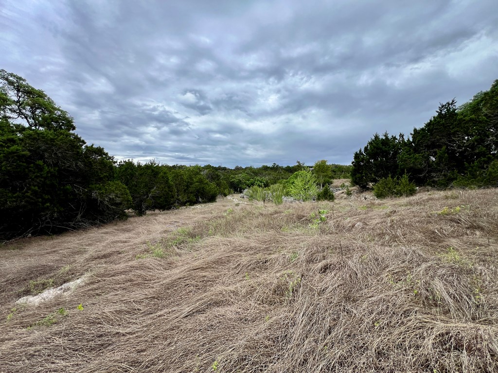 Land in Kerrville 4