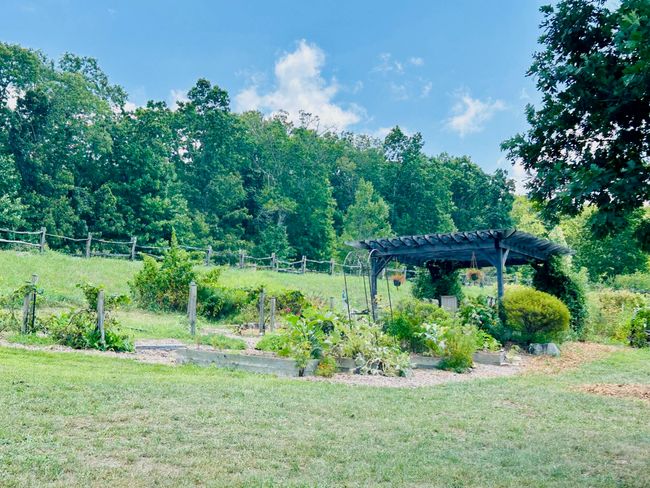 0 Still Creek Rd, Home with 0 bedrooms, 0 bathrooms and null parking in Rising Fawn GA | Image 10
