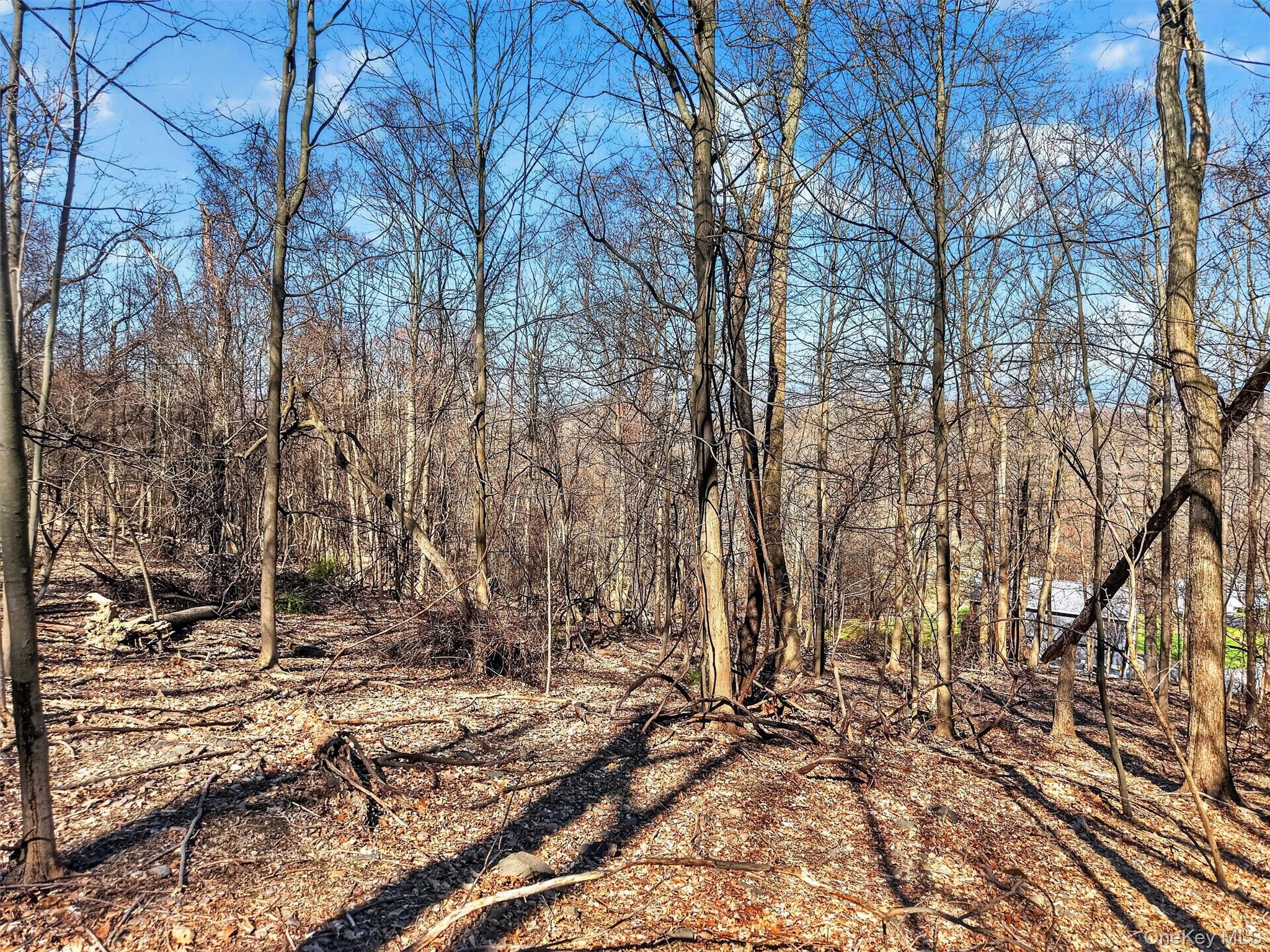 Land in Beacon 5
