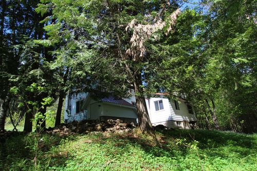 {{alt}} | Card Image