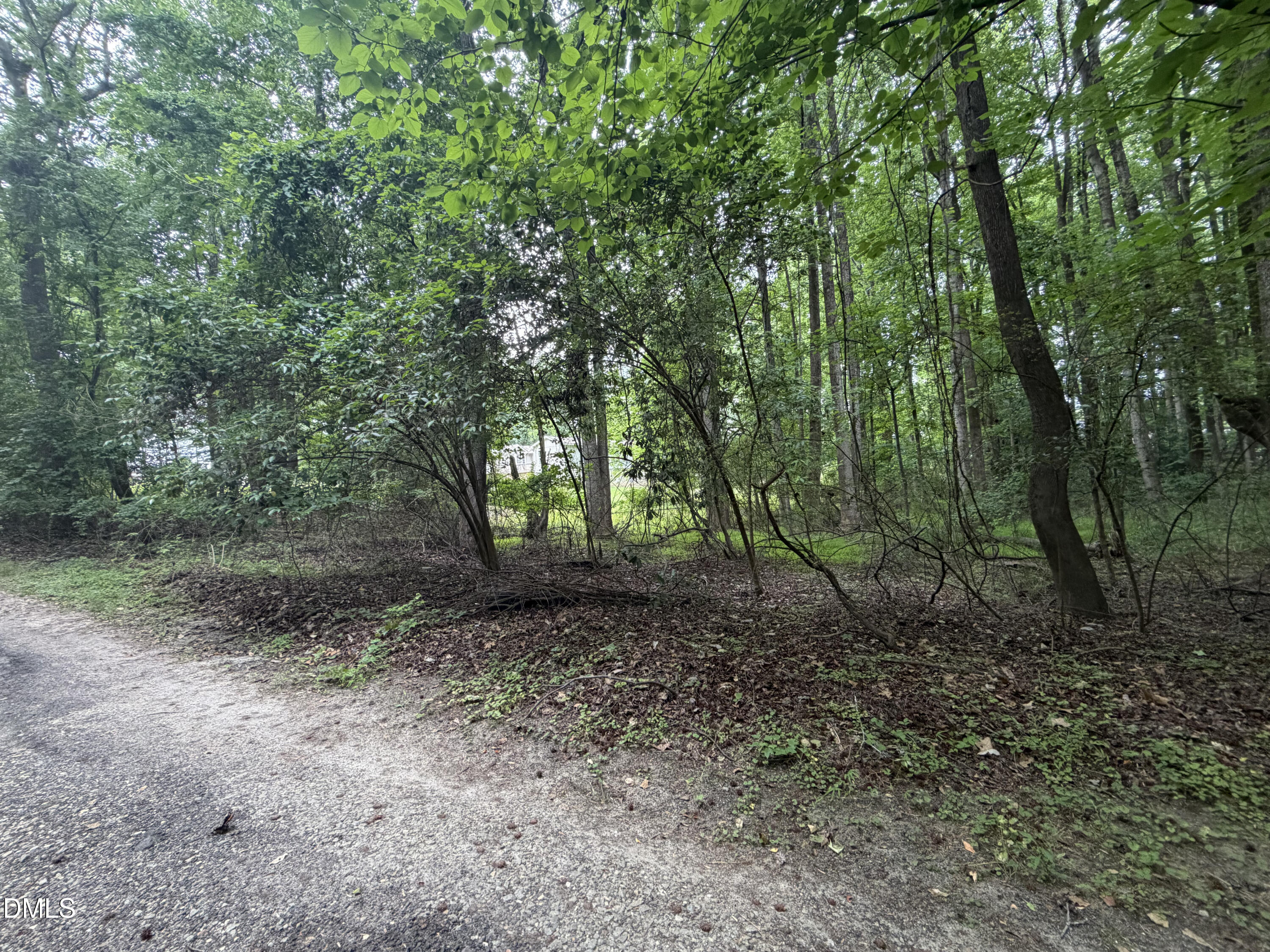 Land in Holly Springs 5