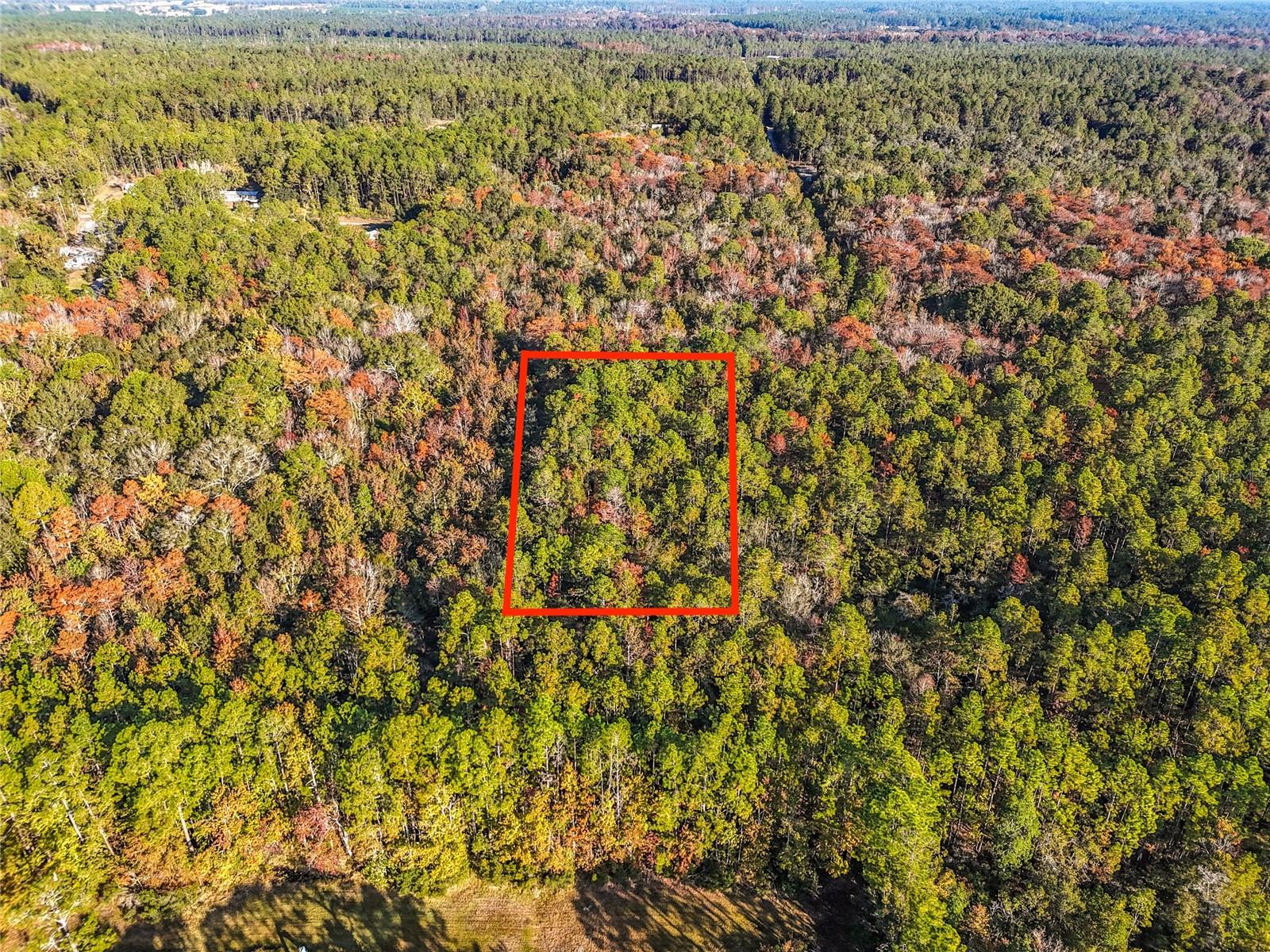 Land in PALATKA