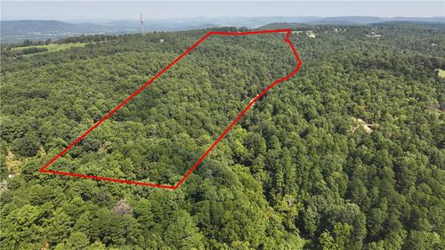 177 Cr 7151, Berryville, AR, 72632 | Card Image