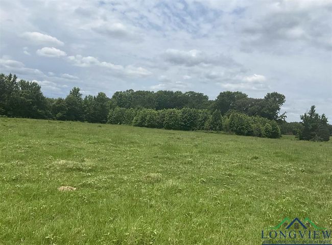 Tract 2 Cr 2314, Home with 0 bedrooms, 0 bathrooms and null parking in Pittsburg TX | Image 4