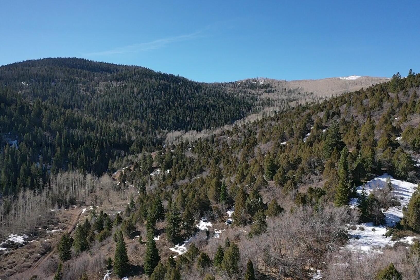 Land in Summit 3