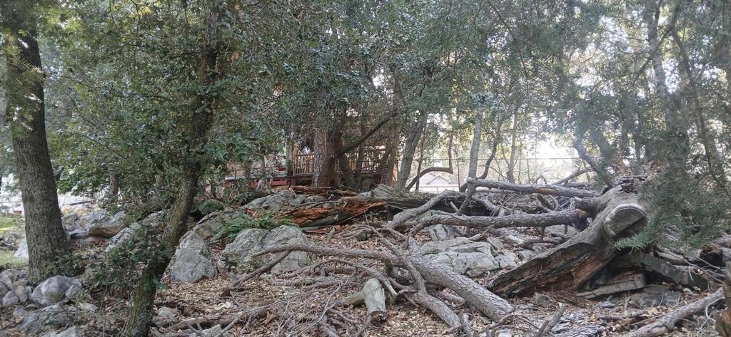 Land in Crestline 3