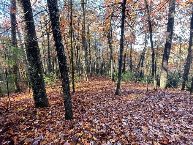 4 - 9999 Sassafras Ln, Home with 0 bedrooms, 0 bathrooms and null parking in Cedar Mountain NC | Image 16