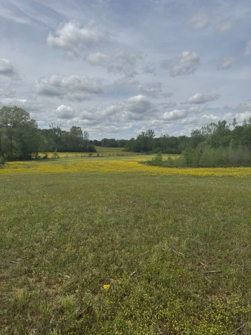 0 Taylor Cemetery Rd, Buena Vista, TN, 38318 | Card Image