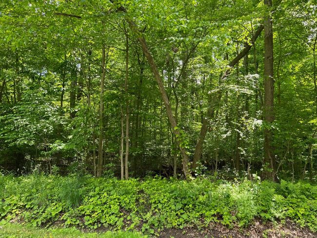 425 Lakeview Rd, Home with 0 bedrooms, 0 bathrooms and null parking in Jamestown PA | Image 4