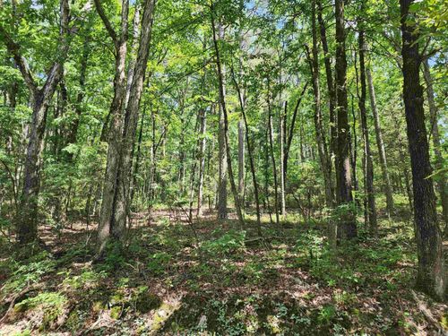 12 Belmonte Ln, Hot Springs Village, AR, 71909 | Card Image