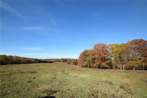 11015 E State Highway 90, Pineville, MO, 64856-9147 | Card Image