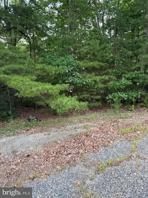 lot 38 and 39 Calvary, Montross, VA, 22520 | Card Image