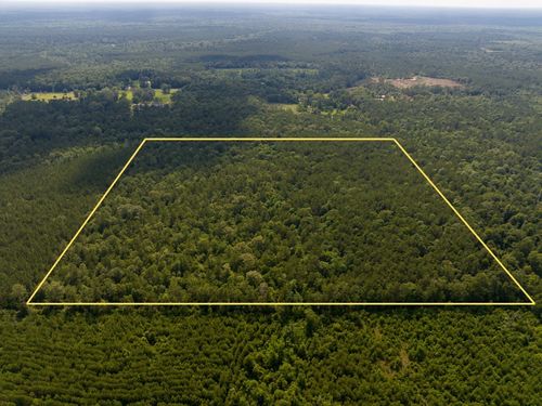 Off Webb Spikes Road, DeRidder, LA, 70653 | Card Image