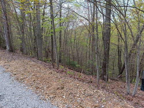 273 Tennis Center Dr, Smithville, TN, 37166 | Card Image